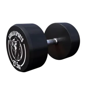 Fixed Dumbbell 27.5KG