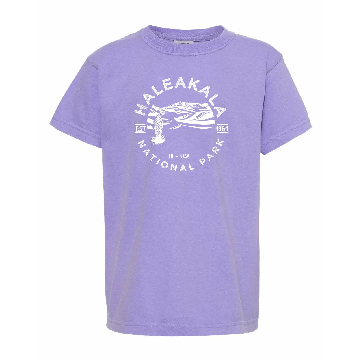 Haleakala National Park Youth Comfort Colors T shirt