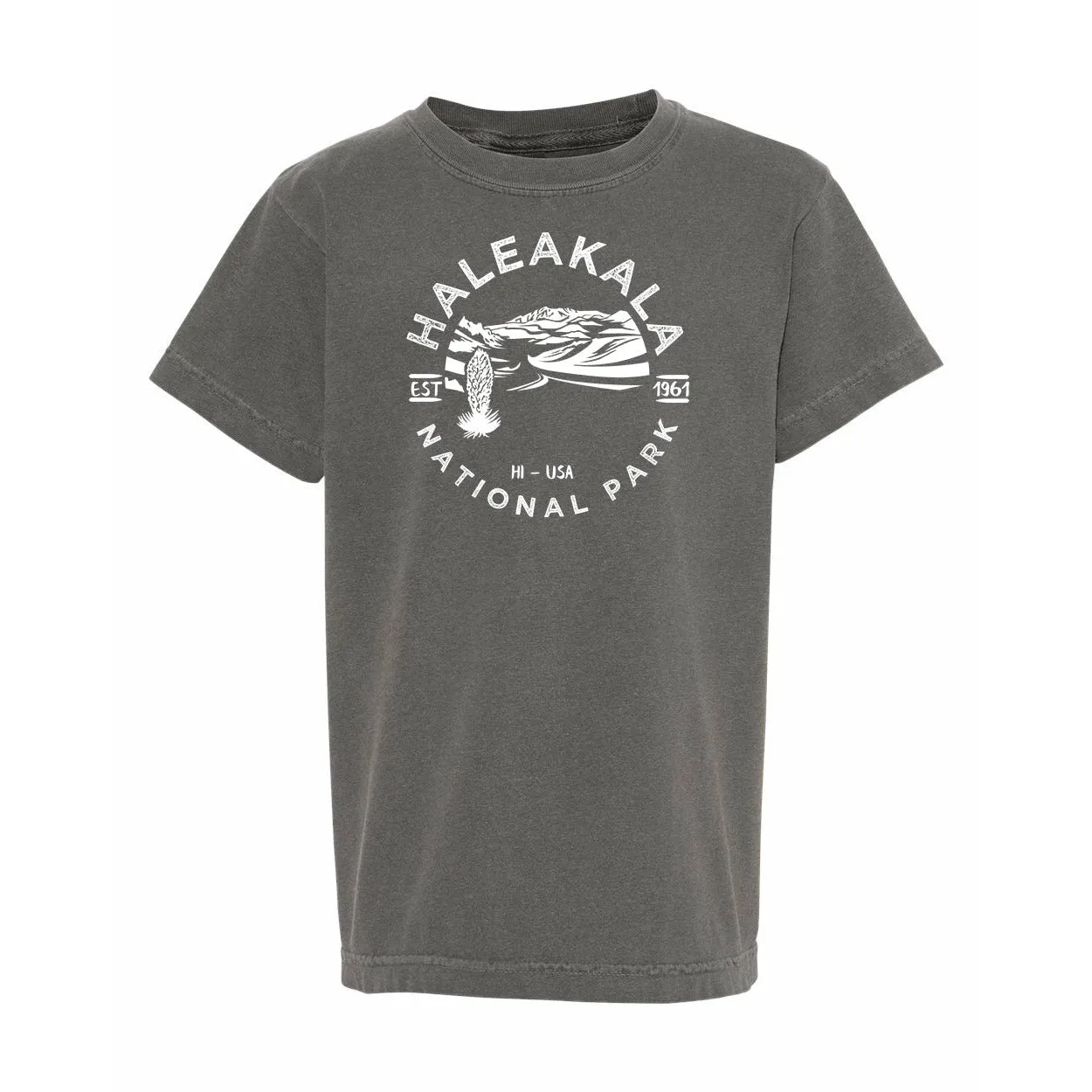 Haleakala National Park Youth Comfort Colors T shirt