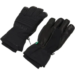 Oakley B1B Glove