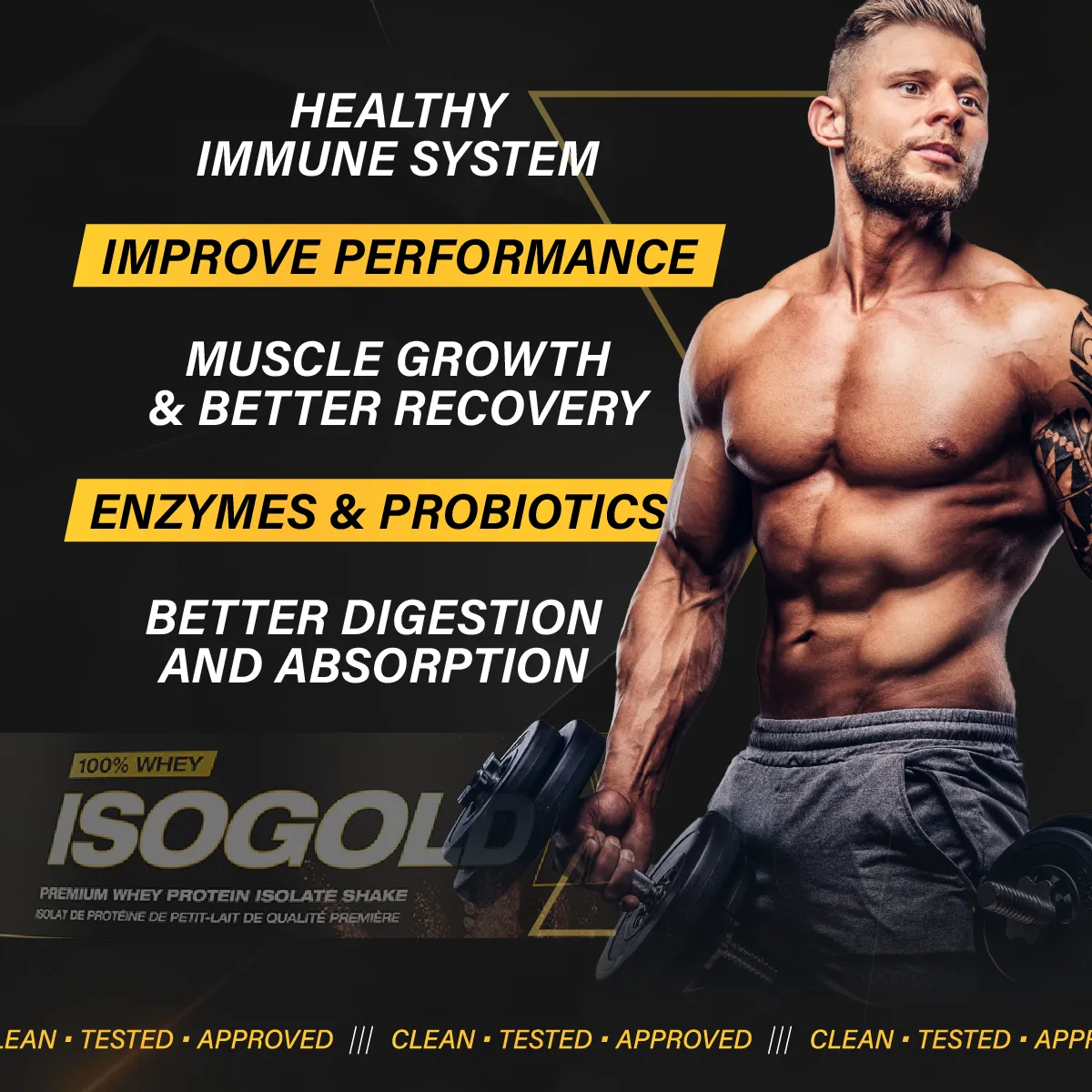 PVL Gold Series Iso Gold, 100% Whey Protein Isolate & Hydrolysate, Muscle Growth Support, Muscle Recovery, 2-5lbs